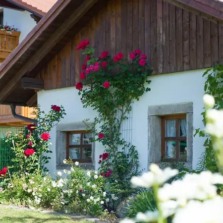 Country house 