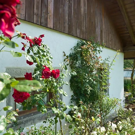 Country house 